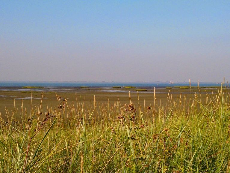Zeeland stelt strikte voorwaarden voor nieuwe kerncentrales, niet in natuurgebieden