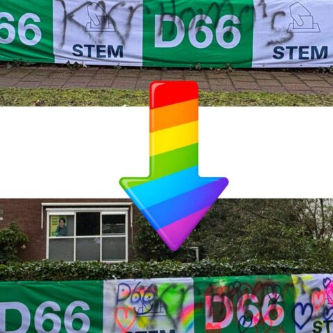 Zwastika's en anti-LGBTQIA+ teksten op verkiezingsborden in tuinen van Baarnse politici
