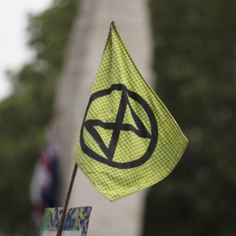 247 arrestaties na blokkade van A12 door Extinction Rebellion bij De Meern