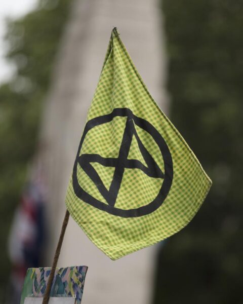 247 arrestaties na blokkade van A12 door Extinction Rebellion bij De Meern