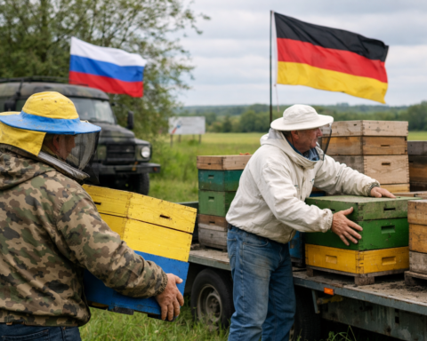 Oekraïense honingproductie verhuist naar Duitsland, terwijl Russische invloed krimpt