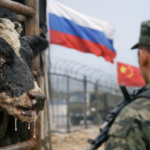 Verzwegen Russische vee-epidemie overspoelt Chinese grenzen en schudt aan WTO-fundament