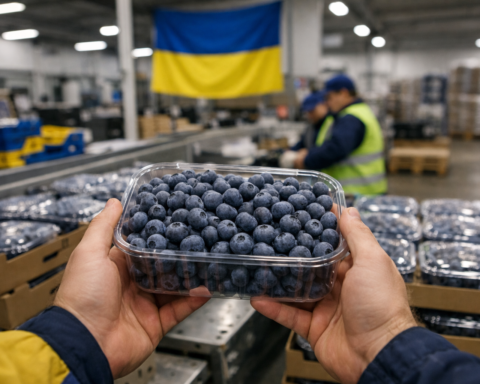 Oekraïense bosbessenexport zet nieuwe standaard in Europese handel