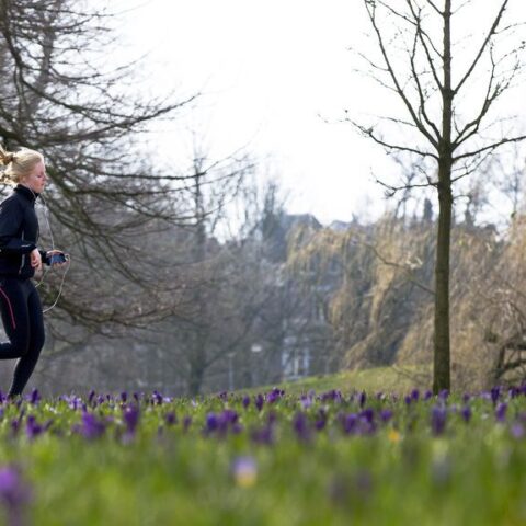 Amsterdam introduceert fatbikeverbod in Vondelpark, ingangsdatum 11 mei