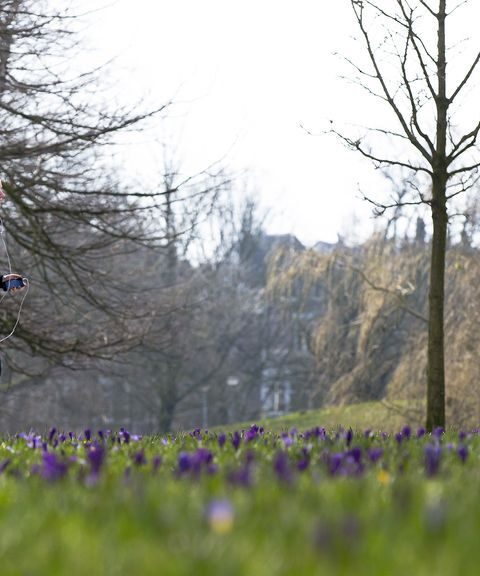 Amsterdam introduceert fatbikeverbod in Vondelpark, ingangsdatum 11 mei