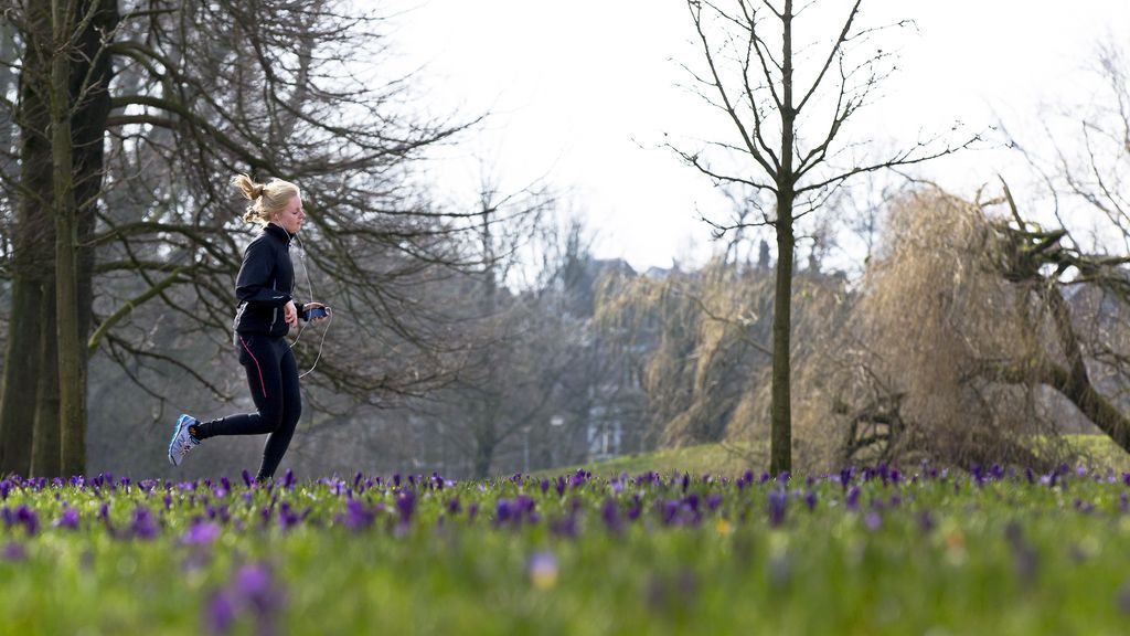 Amsterdam introduceert fatbikeverbod in Vondelpark, ingangsdatum 11 mei