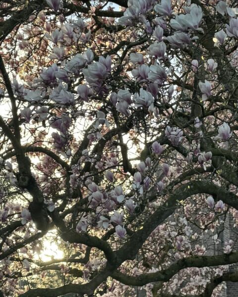 April is de enige maand zonder code oranje of rode waarschuwing in Nederland