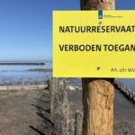 Bewoners van Wierum mogen kwelder niet betreden ondanks jarenlange strijd voor bescherming