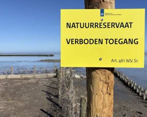 Bewoners van Wierum mogen kwelder niet betreden ondanks jarenlange strijd voor bescherming