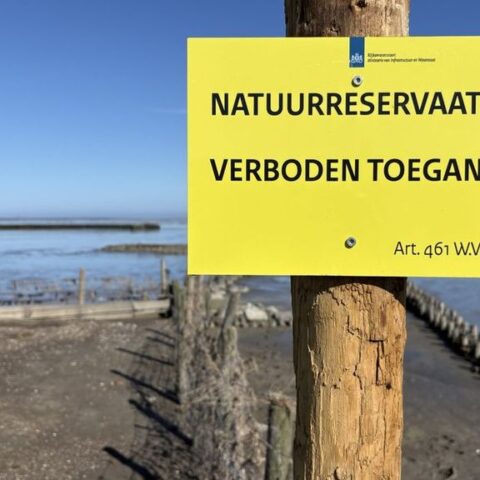 Bewoners van Wierum mogen kwelder niet betreden ondanks jarenlange strijd voor bescherming