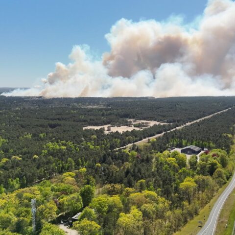 Defensiechef: training gaat door na meerdere bosbranden in militaire oefengebieden