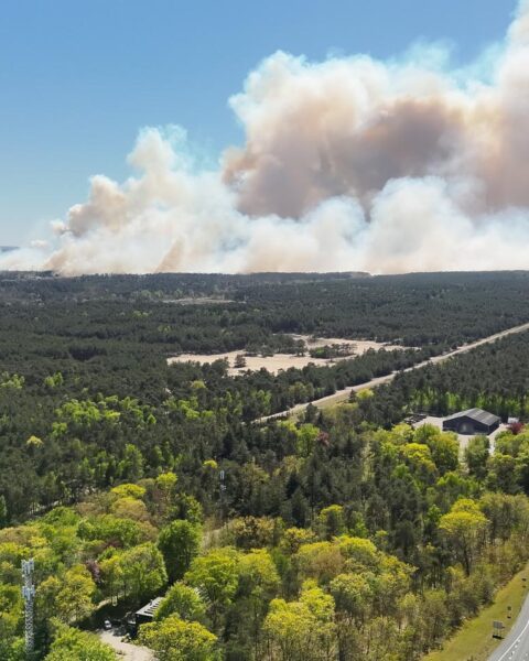 Defensiechef: training gaat door na meerdere bosbranden in militaire oefengebieden