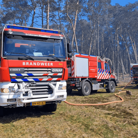 Derde bosbrand in 24 uur na activering van NL-Alert; hoog risico in grootste deel van Nederland