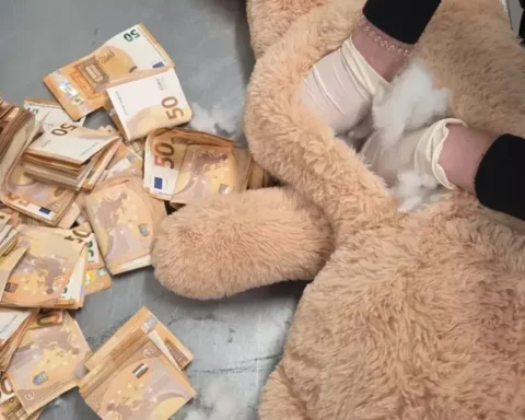 DHL-medewerker vindt €50.000 verstopt in teddybeer op luchthaven Maastricht