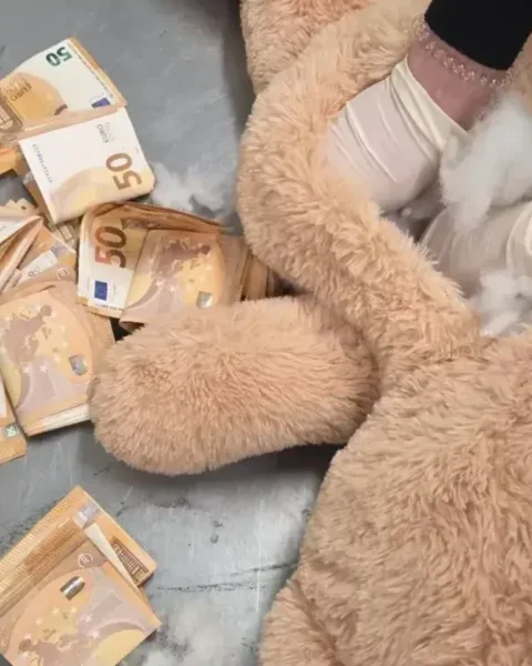 DHL-medewerker vindt €50.000 verstopt in teddybeer op luchthaven Maastricht