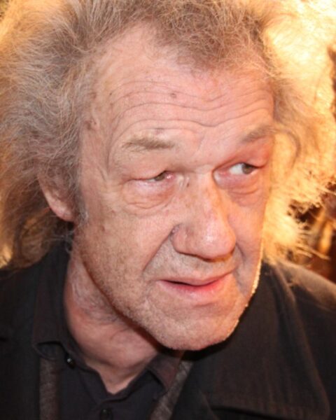 Dick Matena, pionier in Nederlandse strip- en literaire adaptaties, overleden op 83-jarige leeftijd