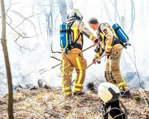 Drentse brandweer vraagt om extra financiering door toenemend risico van natuurbranden