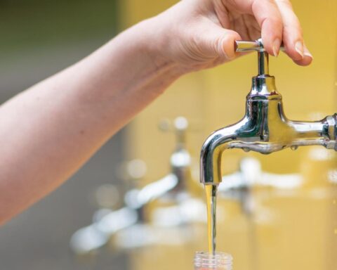 Droogte leidt tot zorgen over watertekorten en bosbranden in Nederland