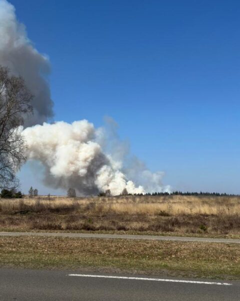 Ede's heidebrand van vorig jaar leidt tot oprichting nationaal risicocentrum voor bosbranden in Nederland