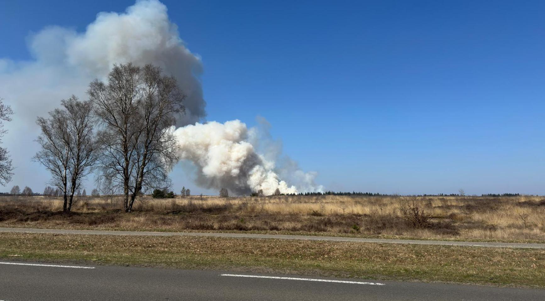 Ede's heidebrand van vorig jaar leidt tot oprichting nationaal risicocentrum voor bosbranden in Nederland