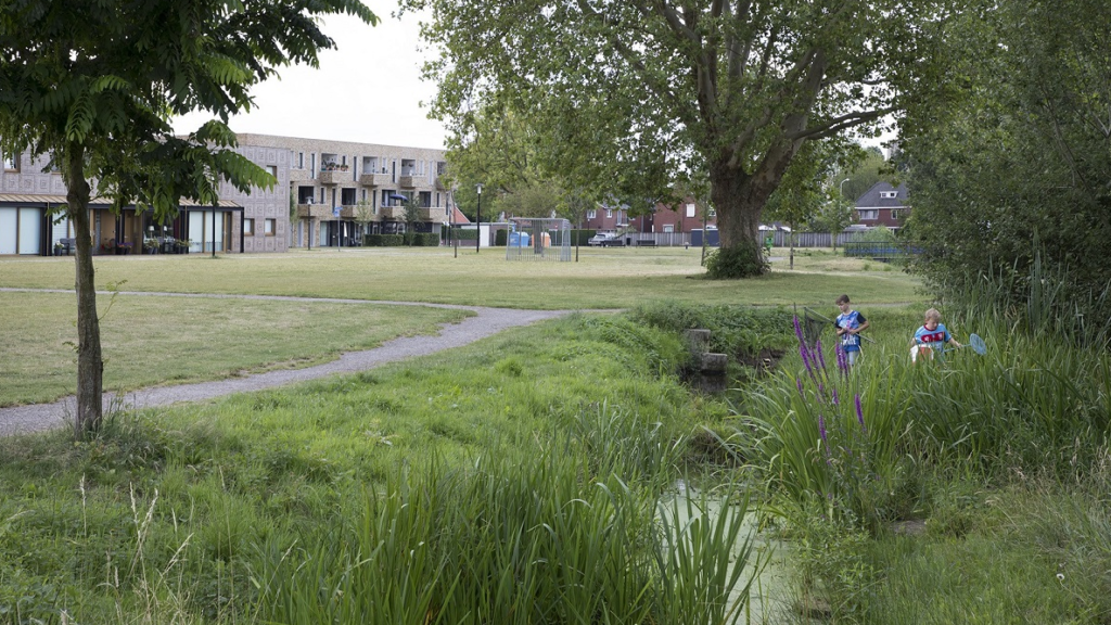 Extra sloten in steden bieden oplossing voor waterproblemen en versterken biodiversiteit