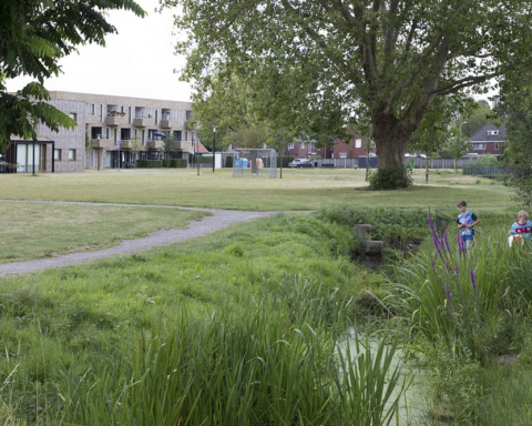 Extra sloten in steden bieden oplossing voor waterproblemen en versterken biodiversiteit