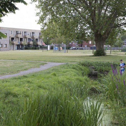 Extra sloten in steden bieden oplossing voor waterproblemen en versterken biodiversiteit