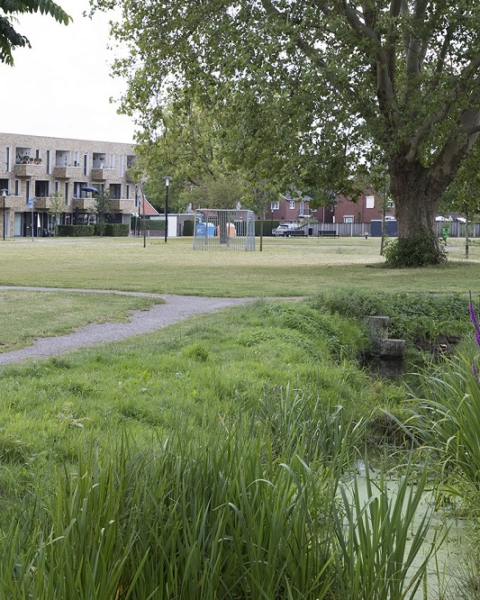 Extra sloten in steden bieden oplossing voor waterproblemen en versterken biodiversiteit