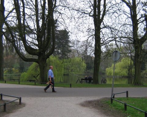 Gasdrukpistool gevonden en afgevuurd tijdens paaseierenzoeken in Utrechtse park