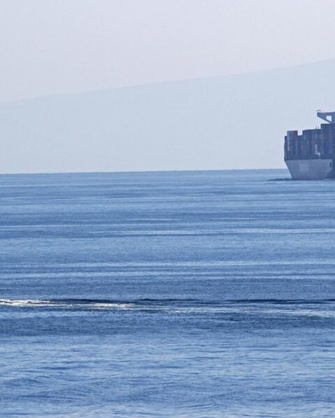 Gasprijzen in Amsterdam dalen na heropening van de Straat van Hormuz; wereldwijde prijzen omlaag met 10%