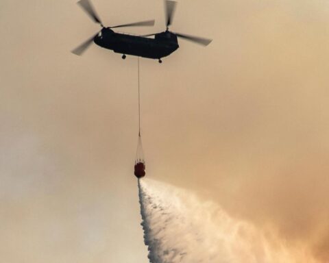 Grote bosbrand bij ’t Harde blijft buiten controle; wegen gesloten, luchtverkeer omgeleid