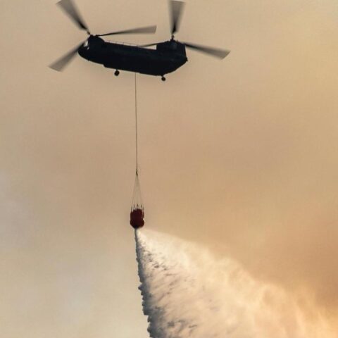 Grote bosbrand bij ’t Harde blijft buiten controle; wegen gesloten, luchtverkeer omgeleid