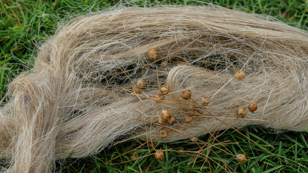 Haagse woningcorporaties ondertekenen '30-30-30'-afspraken voor biobased materialen in nieuwbouw