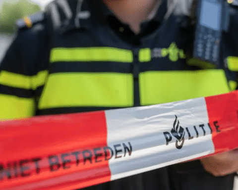 Hellevoetsluis man sentenced for beheading mother; placed in psychiatric facility