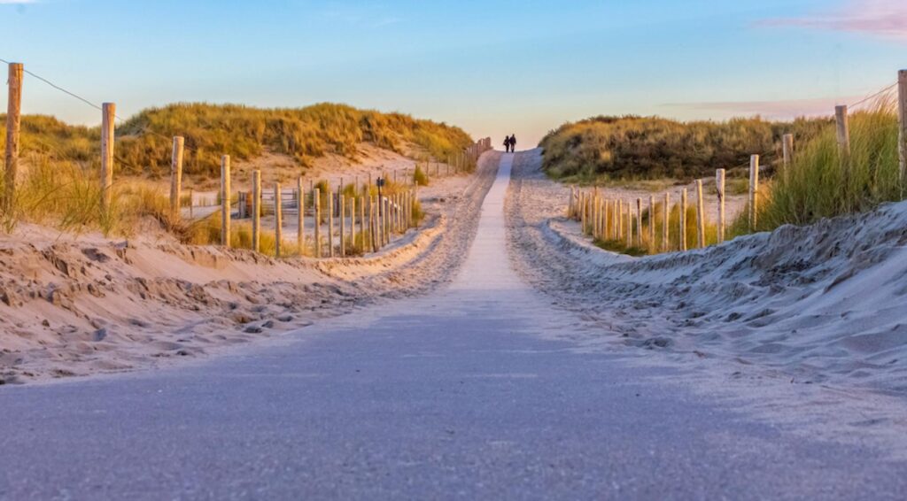 Hollandse Duinen officieel erkend als 22e nationaal park van Nederland