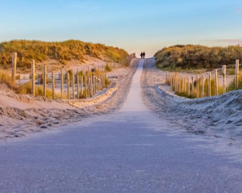 Hollandse Duinen officieel erkend als 22e nationaal park van Nederland