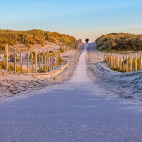 Hollandse Duinen officieel erkend als 22e nationaal park van Nederland