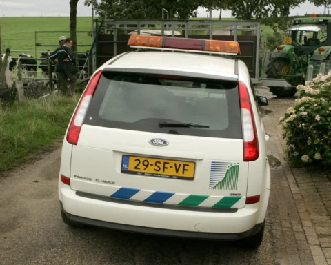 Kabinet verlaagt temperatuur veetransporten en introduceert permanent toezicht op slachthuizen