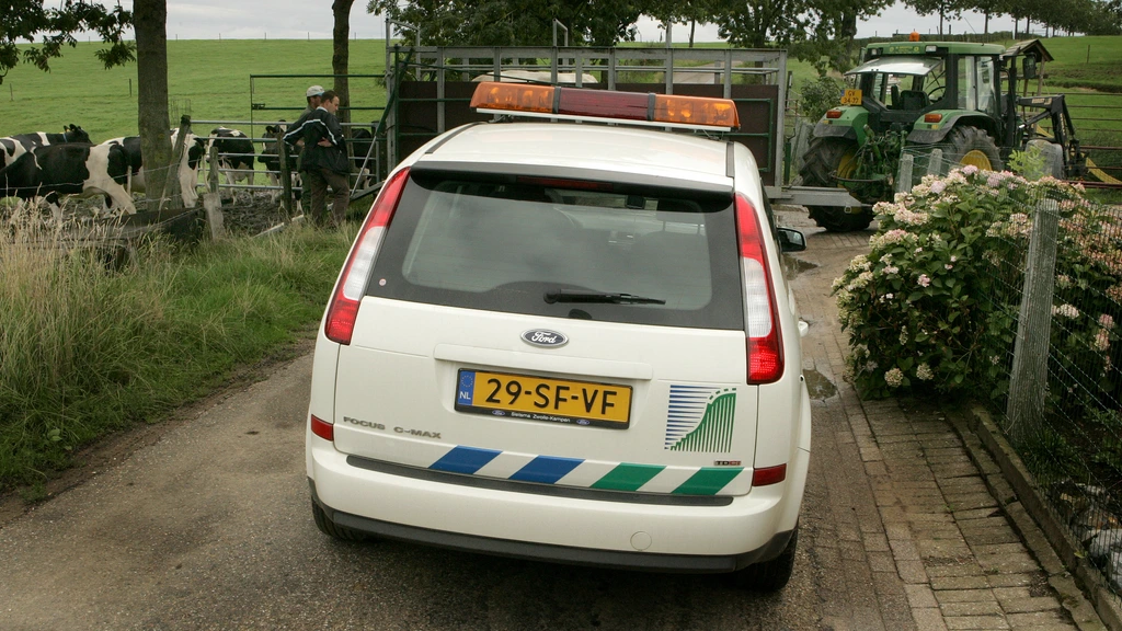 Kabinet verlaagt temperatuur veetransporten en introduceert permanent toezicht op slachthuizen