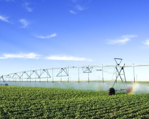 Klimaatverandering, vervuiling en hoge vraag zetten drinkwatertoevoer onder druk in Nederland