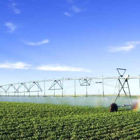 Klimaatverandering, vervuiling en hoge vraag zetten drinkwatertoevoer onder druk in Nederland