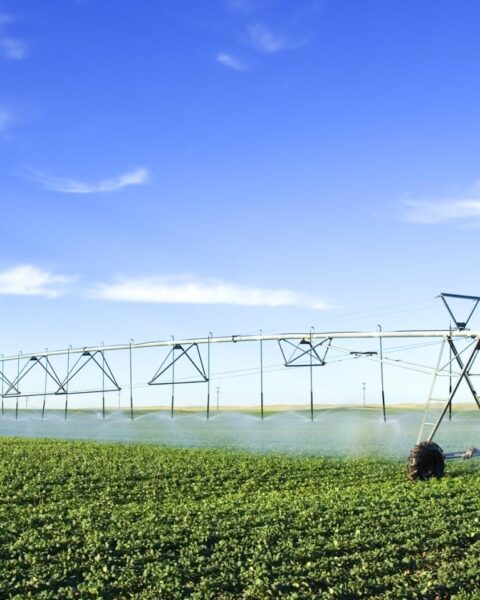 Klimaatverandering, vervuiling en hoge vraag zetten drinkwatertoevoer onder druk in Nederland