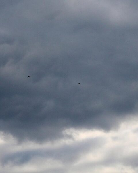 KNMI geeft code geel voor sterke windstoten in Noord-Holland