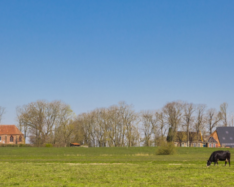 Kwart Nederlanders overweegt verhuizing naar platteland en kleinere plaatsen