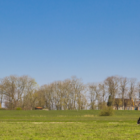 Kwart Nederlanders overweegt verhuizing naar platteland en kleinere plaatsen