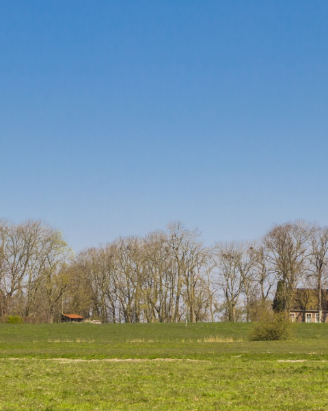 Kwart Nederlanders overweegt verhuizing naar platteland en kleinere plaatsen
