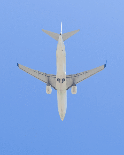 Luchtvaartmaatschappijen waarschuwen dat vluchtannuleringen binnen zes weken kunnen beginnen door brandstoftekorten