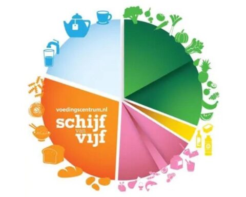 Minder vlees, meer plantaardige eiwitten in de nieuwe Schijf van Vijf van Nederland