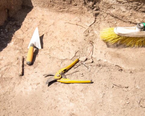 Mogelijk fragment van Vikingschip gevonden in Wijk bij Duurstede