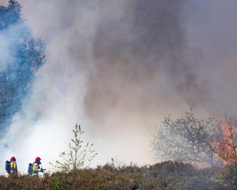 Natuurbrand nabij Weert leidt tot evacuatie van Kempen Airport; onderdeel van landelijke stijging in branden